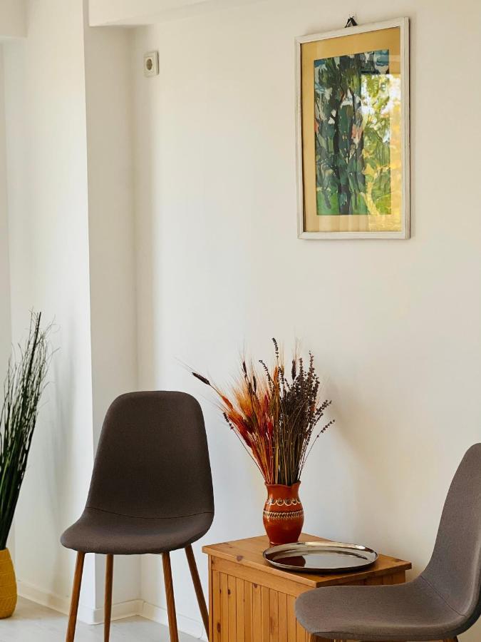 The Airport Loft Leilighet Otopeni Eksteriør bilde